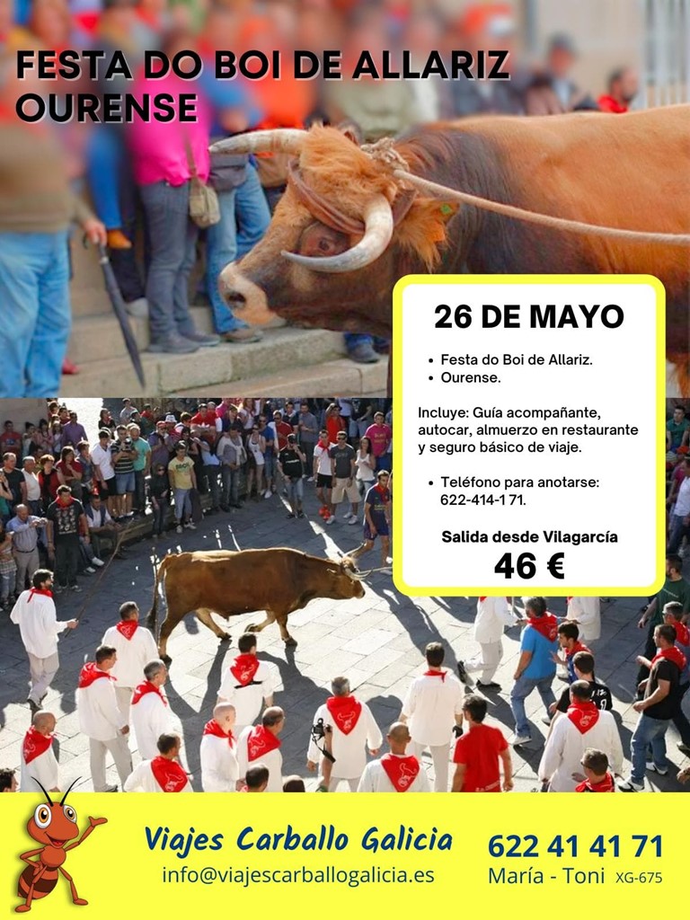 Festa do Boi de Allariz Ourense