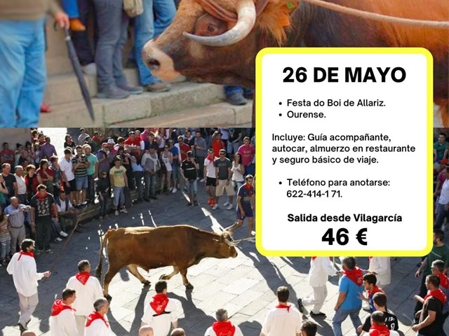 Festa do Boi de Allariz Ourense