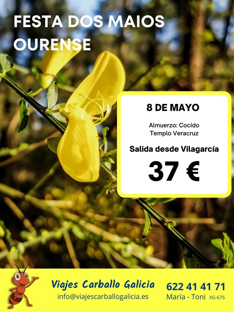 Festa dos Maios (Ourense) 