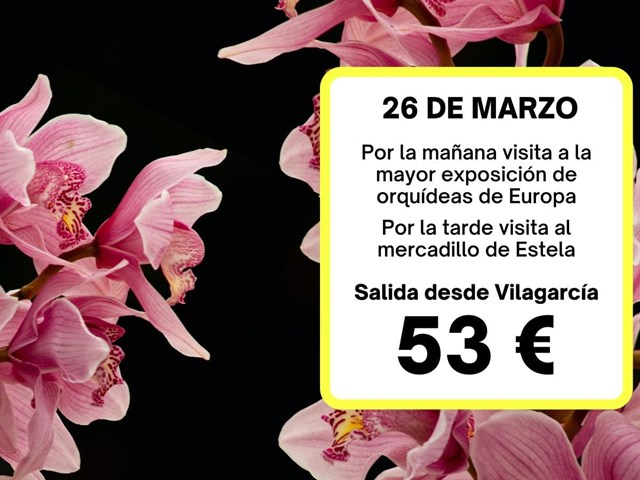 Oporto-Salón Internacional de la Orquídea