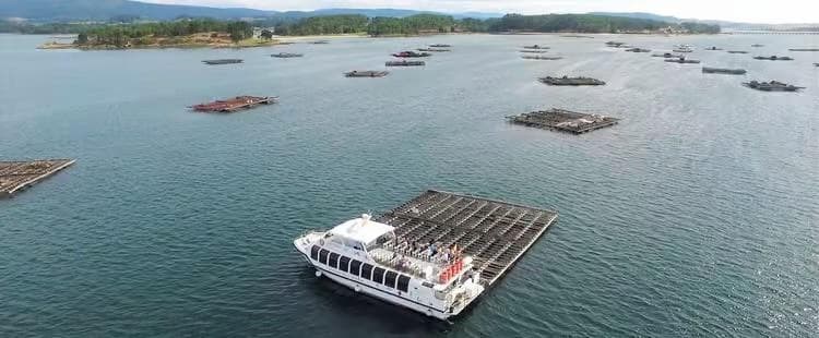 PASEO EN BARCO CON DEGUSTACIÓN DE MEJILLONES
