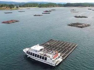 PASEO EN BARCO CON DEGUSTACIÓN DE MEJILLONES