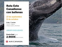 RUTA DEL ESTE CANADIENSE CON BALLENAS