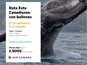 RUTA DEL ESTE CANADIENSE CON BALLENAS